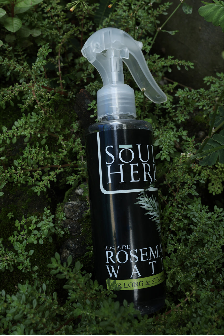 SOULE HERBS ROSEMARY WATER - Soule Herbs